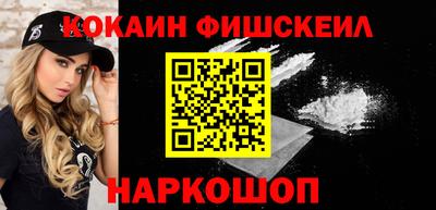 крисы Кингисепп