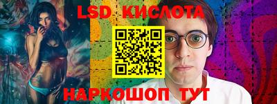 крисы Кингисепп