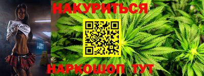 крисы Кингисепп
