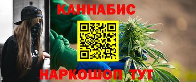 крисы Кингисепп