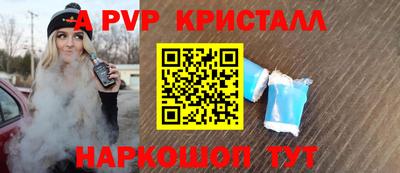 крисы Кингисепп