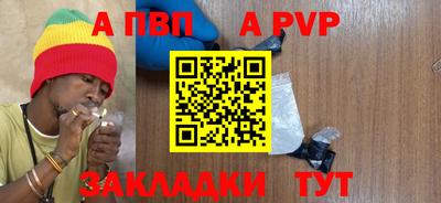 крисы Кингисепп