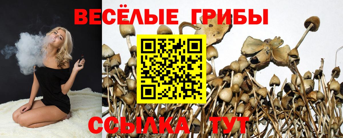 Кизилюрт  Псилоцибиновые грибы Psilocybe  Галлюциногенные грибы ЛСД  Вход с VPN 