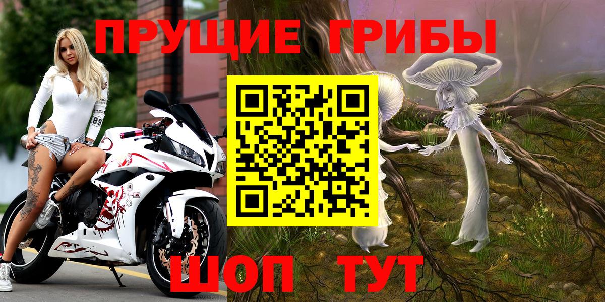 Псилоцибиновые грибы GOLDEN TEACHER Кизилюрт